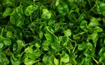 Bạn đã biết đến những lợi ích thần kỳ của loại rau tốt nhất thế giới?