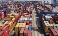 Mở rộng kênh phân phối thúc đẩy xuất khẩu
