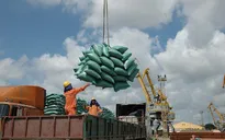 Ngăn chặn hành vi đầu cơ mặt hàng gạo