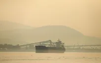 Tỉnh British Columbia (Canada) bị ô nhiễm bởi khói cháy rừng độc hại
