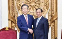 Việt Nam luôn coi Nhật Bản là đối tác tin cậy, quan trọng hàng đầu và lâu dài