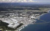 Nước thải nhà máy Fukushima được xả ra biển, Trung Quốc cấm toàn bộ hải sản Nhật Bản