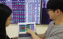 Cổ phiếu bất động sản thăng hoa, VN-Index tăng gần 17 điểm