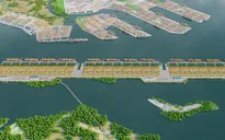 TP Hồ Chí Minh trình Chính phủ đề án cảng trung chuyển quốc tế Cần Giờ