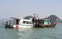 Quảng Ninh mở cao điểm xử lý vi phạm IUU