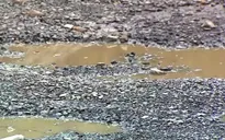Lâm Đồng đề nghị đẩy nhanh tiến độ thi công đèo Mimosa