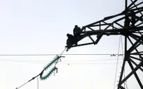 Tàu hàng làm đứt đường dây 35 KV, đảo Cát Bà mất điện hai ngày