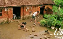Làng trong phố - Tập 21: Mến quắc mắt khiến vợ "tắt điện"