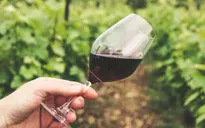 Pháp và các nước châu Âu nỗ lực ngăn đà giảm giá rượu vang