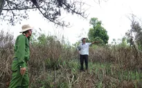 Lâm Đồng: Khởi tố nguyên Trưởng phòng Tài nguyên - Môi trường huyện Bảo Lâm