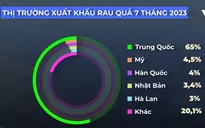 Ngành rau quả liên tiếp lập kỷ lục xuất khẩu