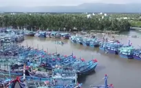 Cần nỗ lực hơn nữa trong gỡ "thẻ vàng" IUU