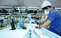 Hơn 100.000 doanh nghiệp thành lập mới sau 8 tháng