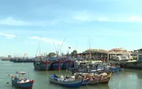 Quyết tâm gỡ "thẻ vàng" thủy sản