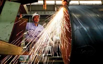 Hơn 130.000 doanh nghiệp thành lập mới và quay trở lại hoạt động