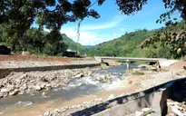 Hoàn thành kè chống sạt lở, bảo đảm an toàn khu dân cư xã Trà Leng, Quảng Nam