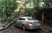 Hà Nội: Đề phòng cây gẫy đổ, tai nạn và chập cháy điện do mưa bão