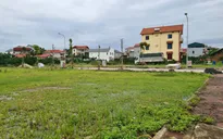 Ảm đạm đấu giá đất