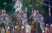 Rước xá lợi Phật - Lễ hội Phật giáo lớn nhất ở Sri Lanka