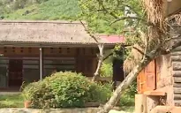 Du lịch xanh - Hướng đi mới của nhiều địa phương