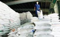 Việt Nam có thể xuất khẩu 7,5 triệu tấn gạo