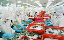 Nhật Bản là nhà nhập khẩu thủy sản số 1 của Việt Nam quý II/2023