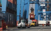 Vụ 5 container nghi bị lừa đảo tại Dubai: Lấp đầy lỗ hổng rủi ro