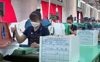 Lương tối thiểu vùng năm 2024 có tăng hay không?