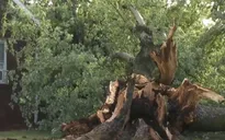 Mỹ đóng cửa các văn phòng chính phủ để tránh bão