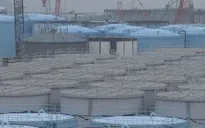 Nhật Bản - Hàn Quốc đạt được đồng thuận về xả thải hạt nhân