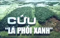 Rừng Amazon - "lá phổi xanh" của Trái đất đang kêu cứu