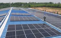 Yêu cầu EVN đề xuất giải pháp xử lý 14 dự án điện mặt trời áp sai giá
