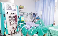 Cứu bệnh nhân sốc nhiễm khuẩn, nhiễm khuẩn huyết do áp xe gan biến chứng suy đa tạng