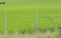 Sẽ thi công đường dân sinh dọc cao tốc Lộ Tẻ - Rạch Sỏi