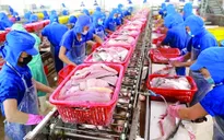 Thủy sản lấy lại đà cân bằng để đẩy mạnh xuất khẩu