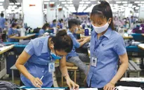 Khởi sắc thị trường lao động