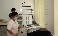 Đã có thiết bị phân biệt sâm Ngọc Linh thật, giả