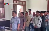 Phú Yên: Phá rừng để lấy đất sản xuất, 10 bị cáo lĩnh án