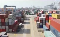 Thúc đẩy hợp tác kinh tế, thương mại Việt Nam – Hoa Kỳ