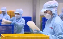 TP Hồ Chí Minh đề nghị tăng cường phòng bệnh đau mắt đỏ tại nơi làm việc