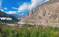 Bước vào thế giới hoang dã của vùng đất tâm linh Ladakh, Ấn Độ