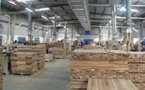 Xuất khẩu gỗ và sản phẩm từ gỗ có thể đạt 14,5 tỷ USD