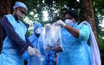 Ấn Độ trong cuộc đua ngăn chặn dịch bệnh do virus Nipah gây thương tổn não