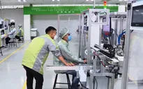 Đỗ đại học nhưng vẫn chọn học nghề