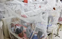 Số ca sốt xuất huyết tăng mạnh ở Bangladesh