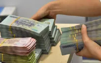 Thúc đẩy tín dụng cho lúa gạo, thủy sản vùng ĐBSCL