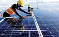 Đã có 60 dự án năng lượng tái tạo được phê duyệt giá tạm