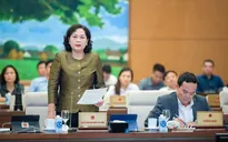 Doanh nghiệp sân sau trong ngân hàng, Thống đốc nói gì?