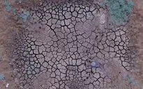El Nino bắt đầu hình thành trên Thái Bình Dương