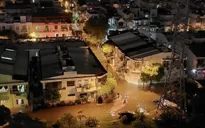 TP Hồ Chí Minh: Mưa to, dông lốc làm đổ cây, tốc mái, đường ngập như sông